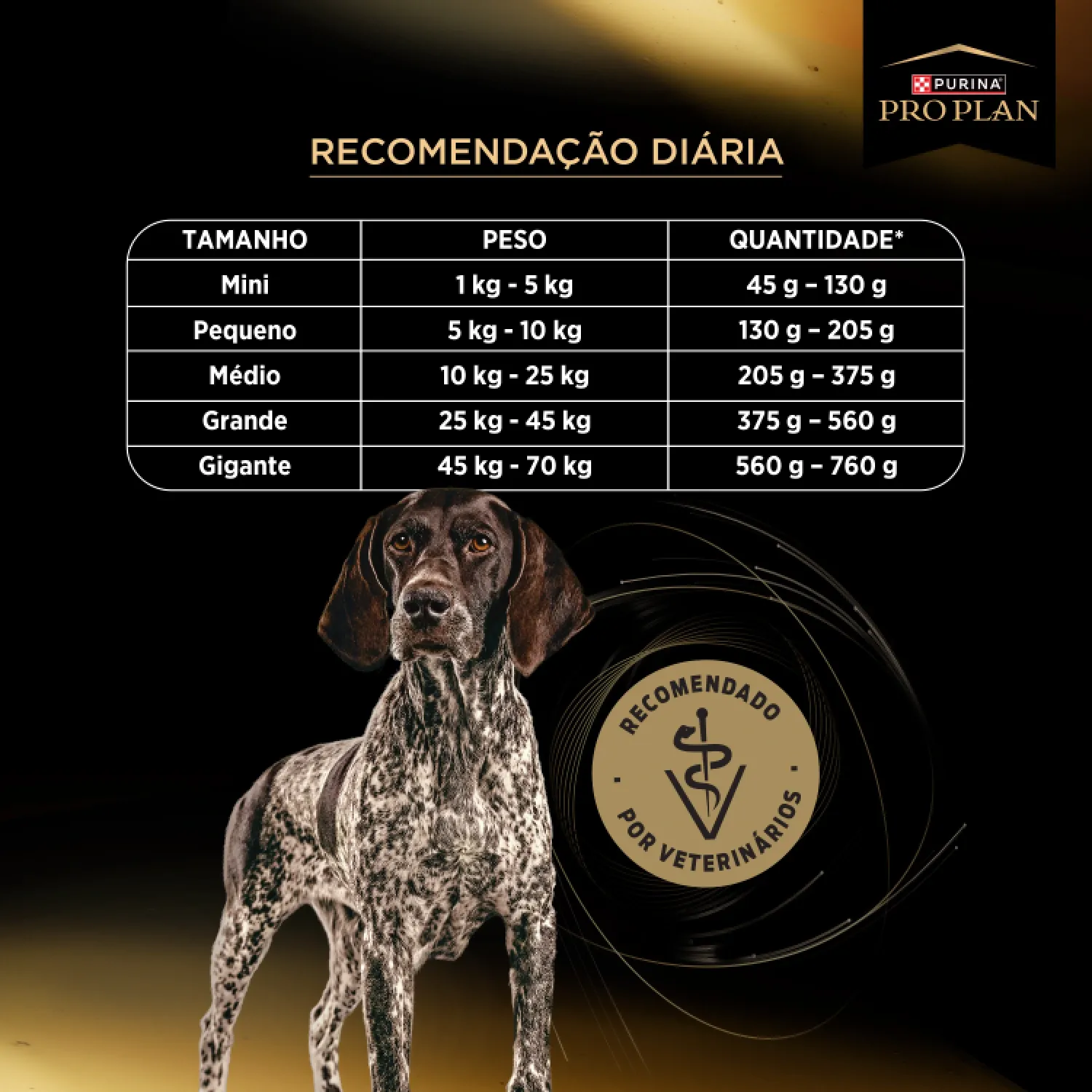 Alta Vitalidade Recomendacao Diaria